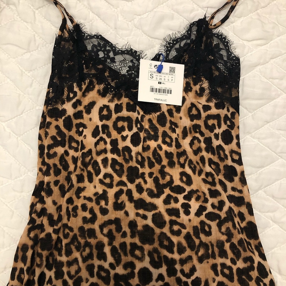 Zara Blouse.